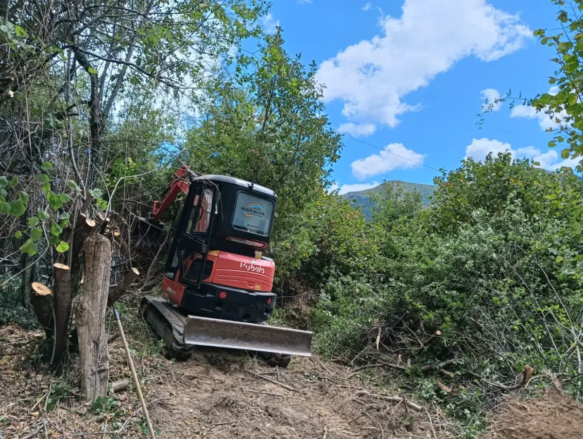 Pala abriéndose camino en una arboleda