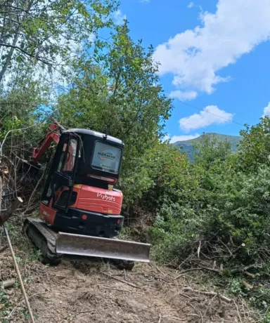 Pala abriéndose camino en una arboleda