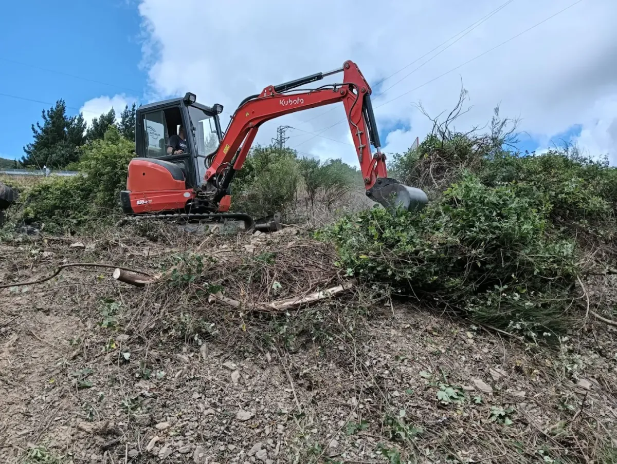 Pala limpiando un terreno de arboleda