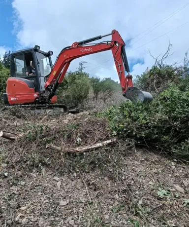 Pala limpiando un terreno de arboleda