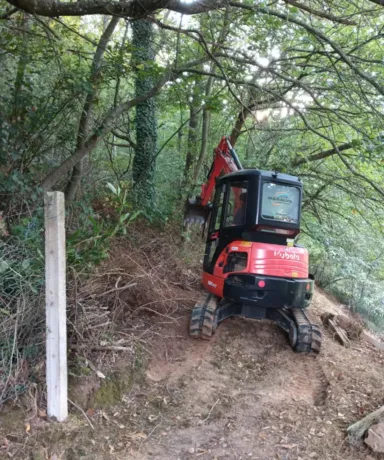Miniexcavadora trabajando en un monte