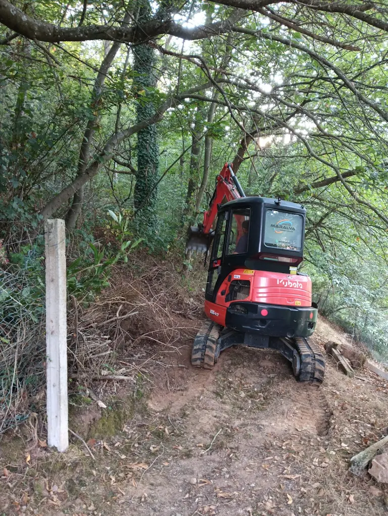 Miniexcavadora trabajando en un monte