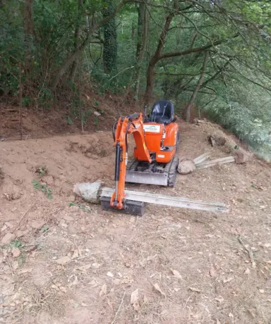 Mini excavadora recogiendo un poste en el monte